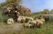 unknow artist Sheep 111 oil painting picture wholesale